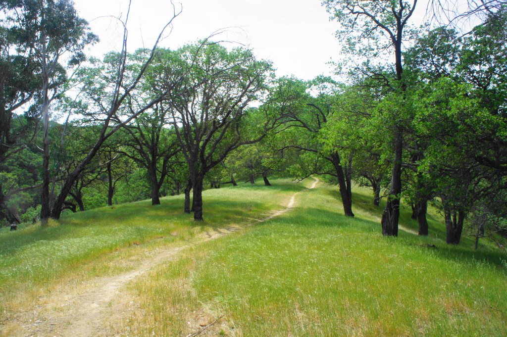 Franklin Ridge Loop 1