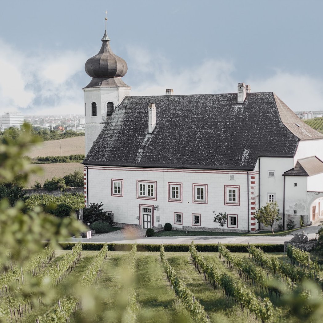 Freigut Thallern 2