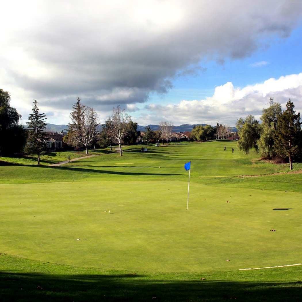 Palm Tree Golf and Event Center 3