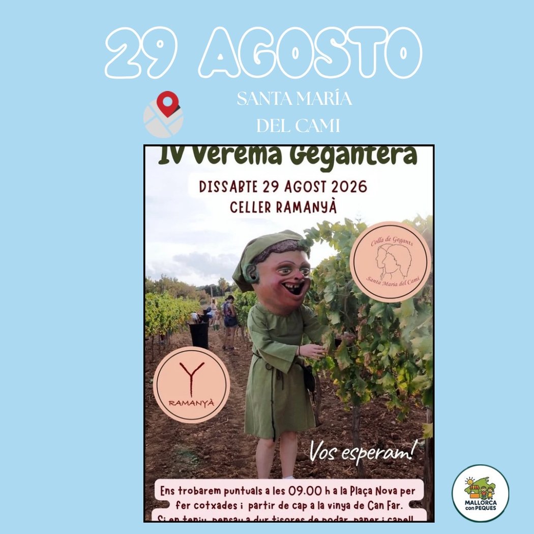 IV Verema Gegantera 1
