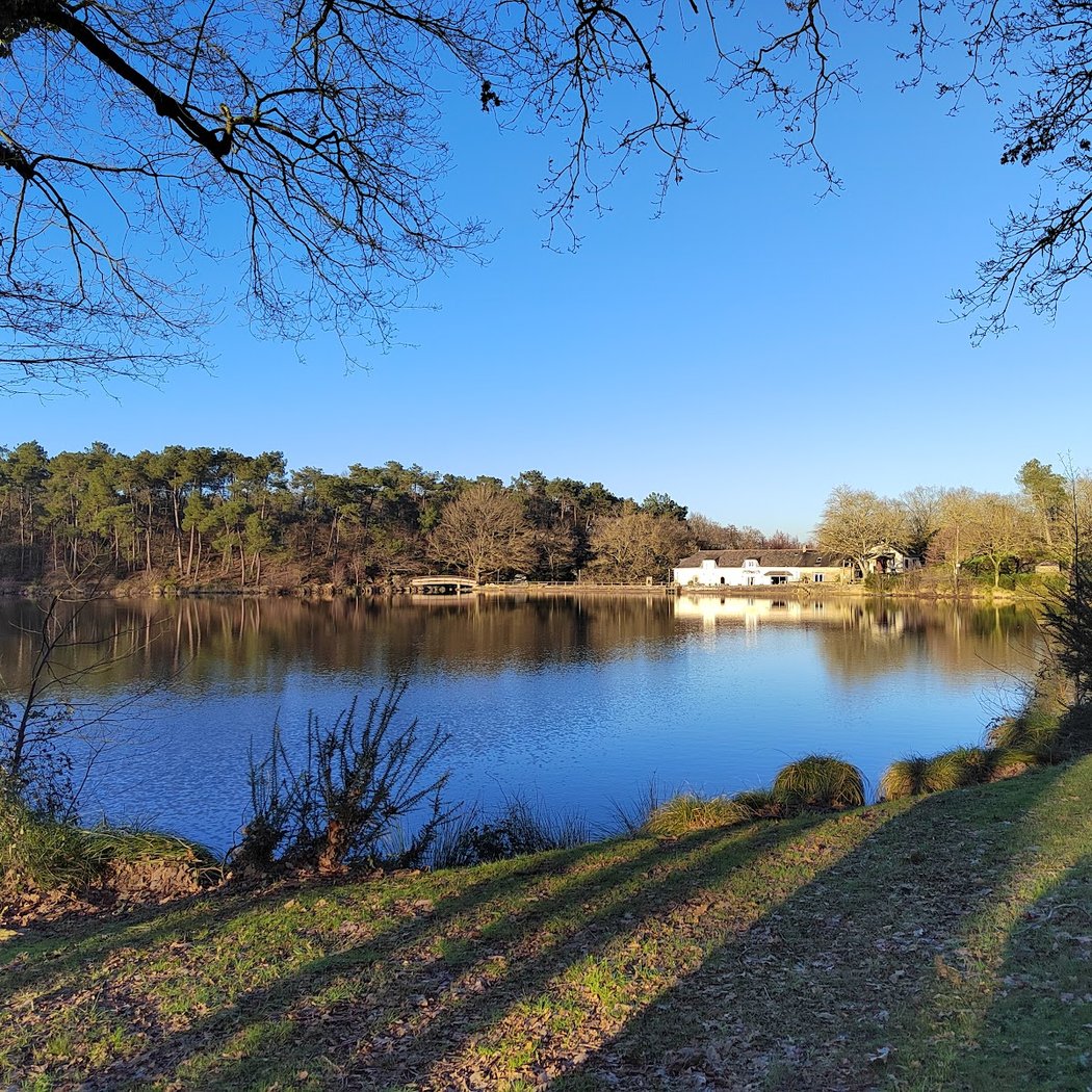 Etang de la Roche 2