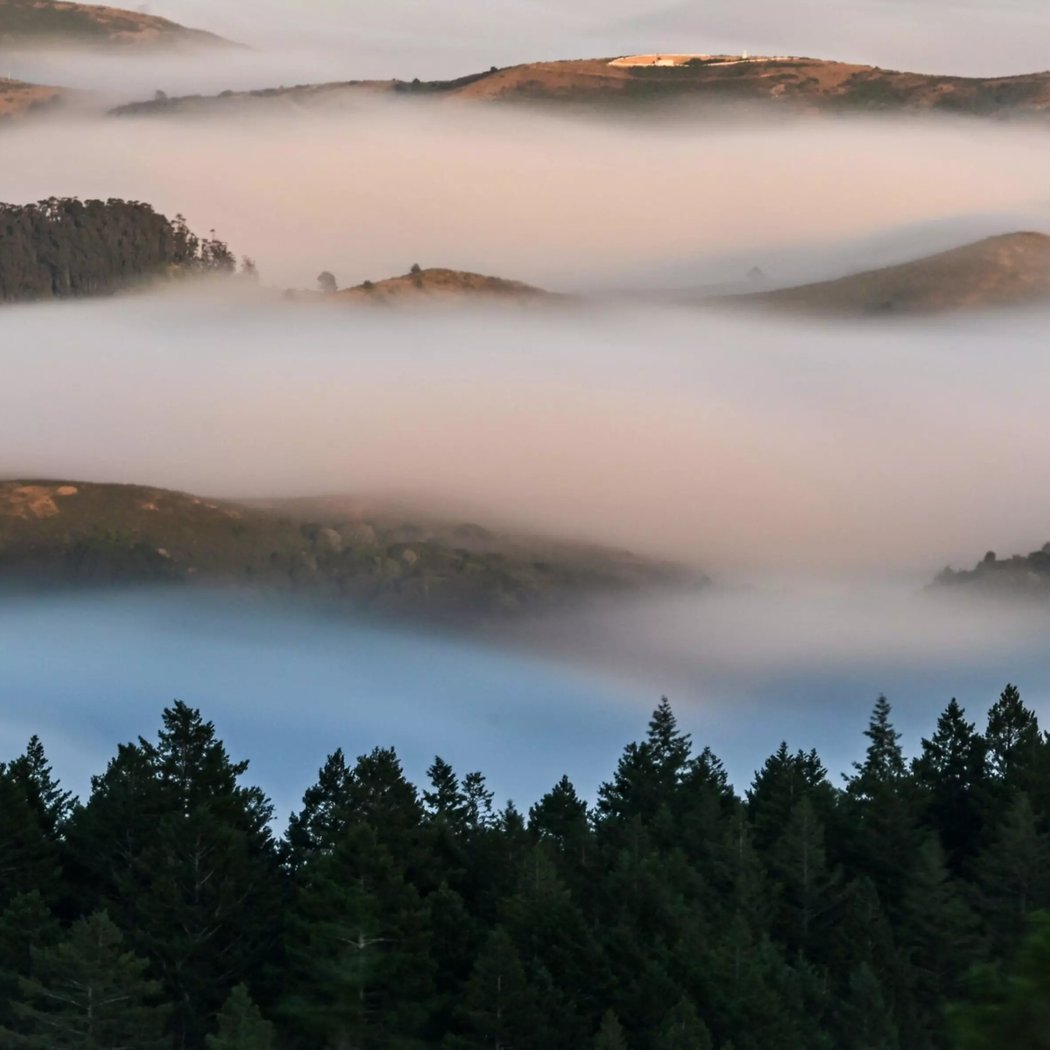 Mt Tamalpais 1