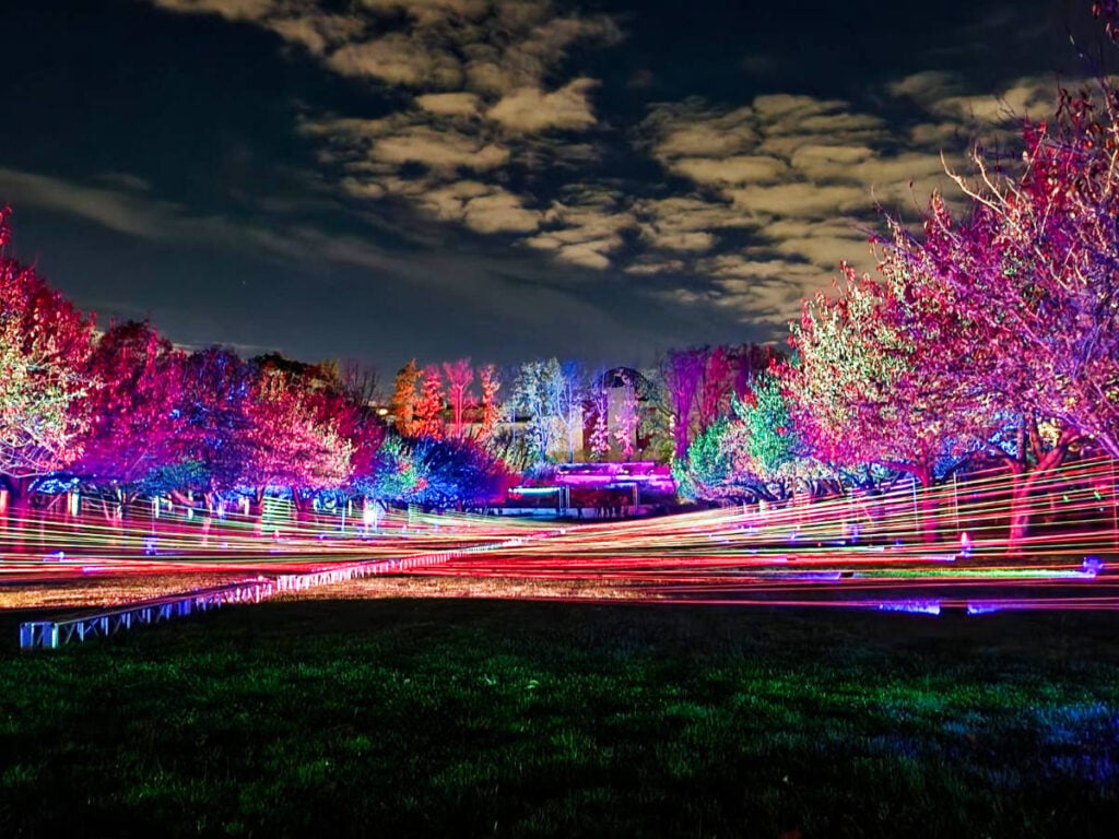 5th Annual Lightscape Show 1