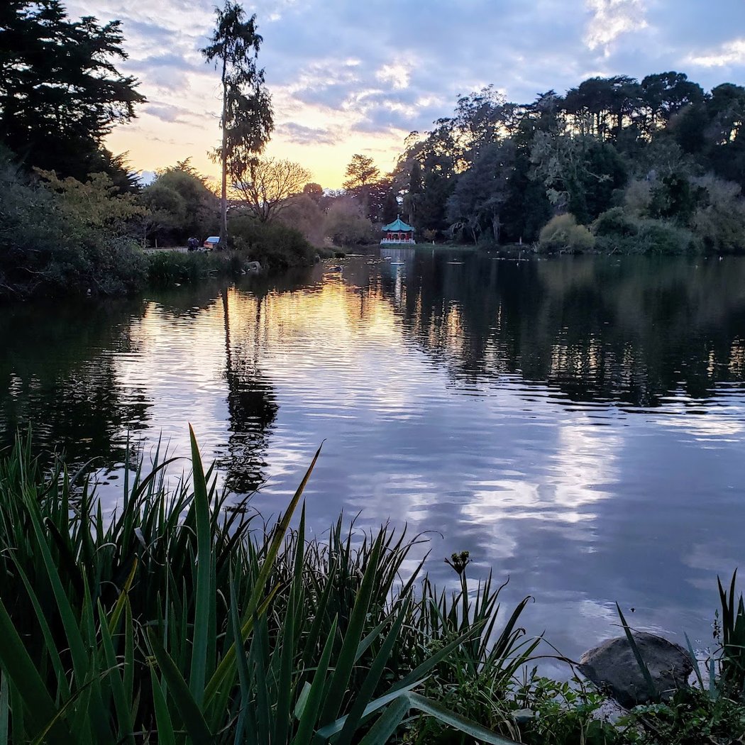 Blue Heron Lake Dr 2
