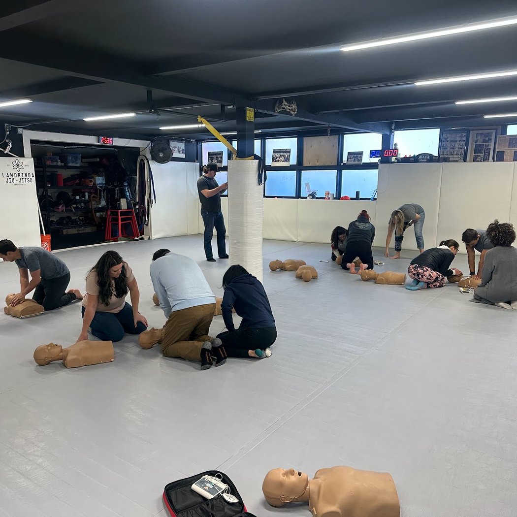CPR VAM - Heart Start CPR 1
