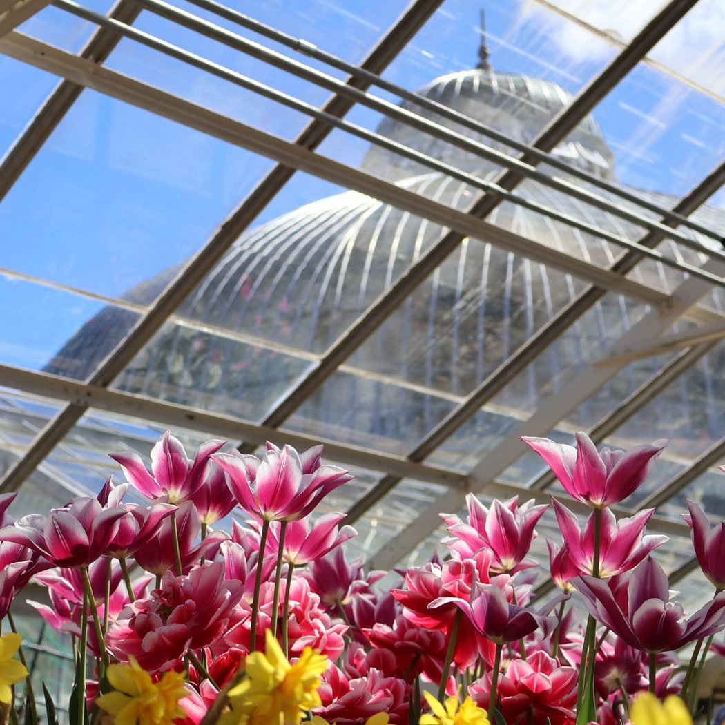Buffalo and Erie County Botanical Gardens 3