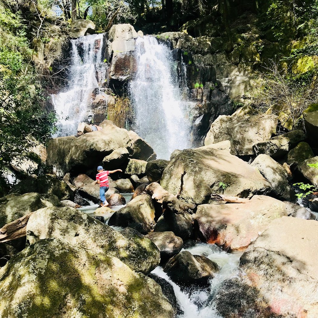Biodiversity, Forest Stewardship & Resilience Hike 3