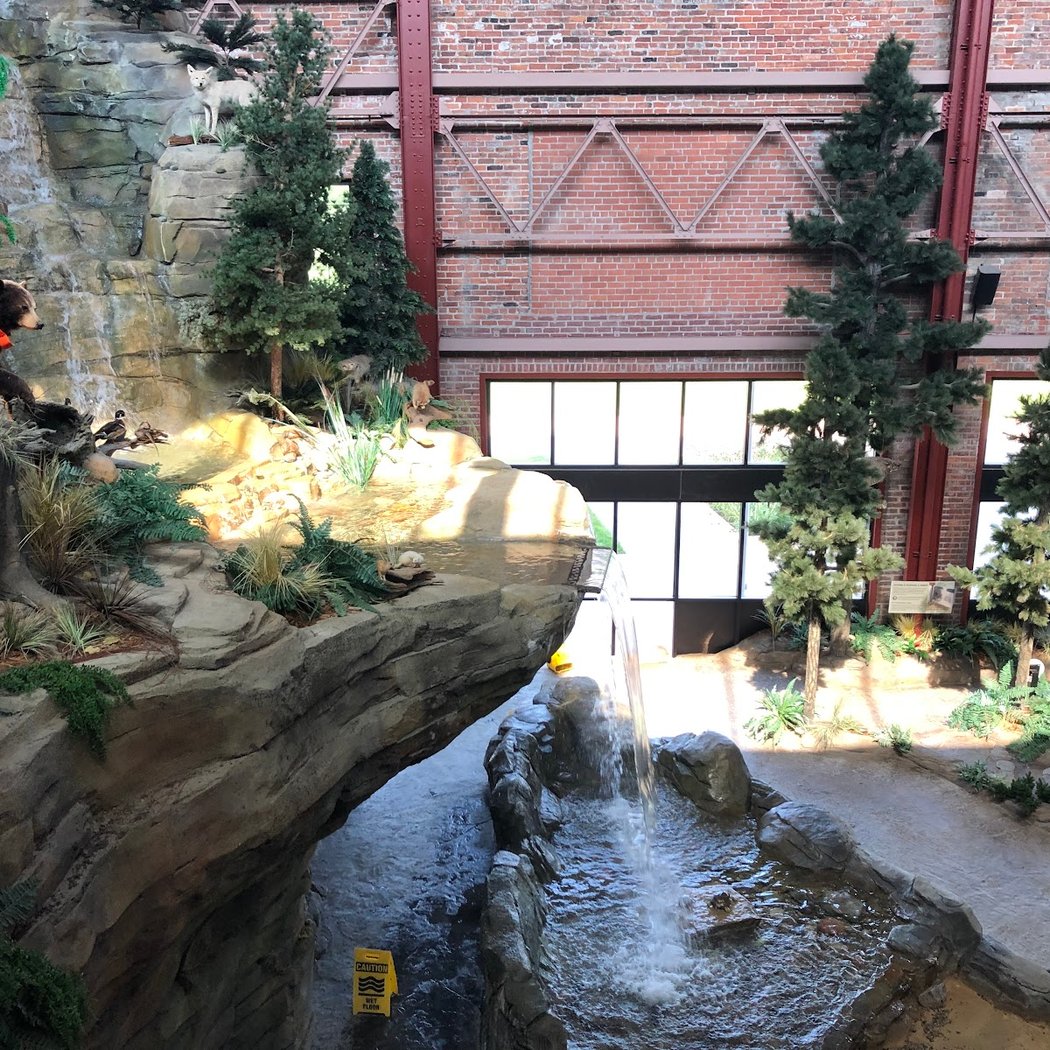Outdoor Adventure Center 2