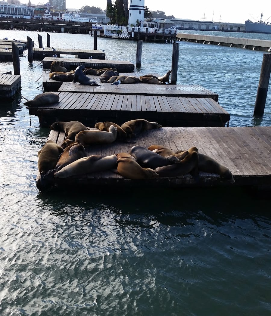Catamaran Cruise on San Francisco Bay 3