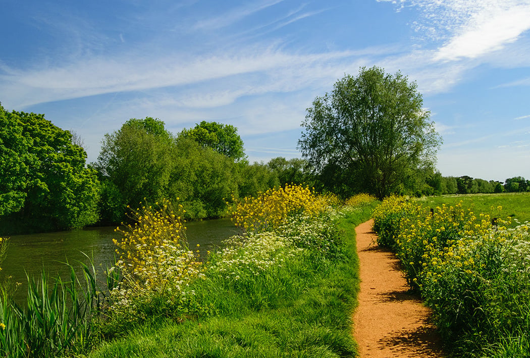 Thames Path 1
