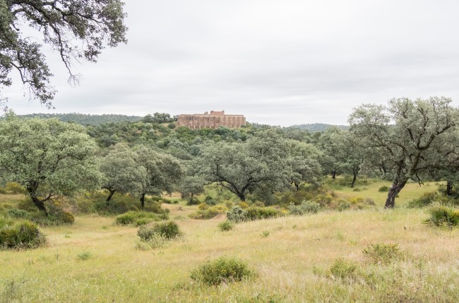 Centro De Visitantes Guadiamar 3