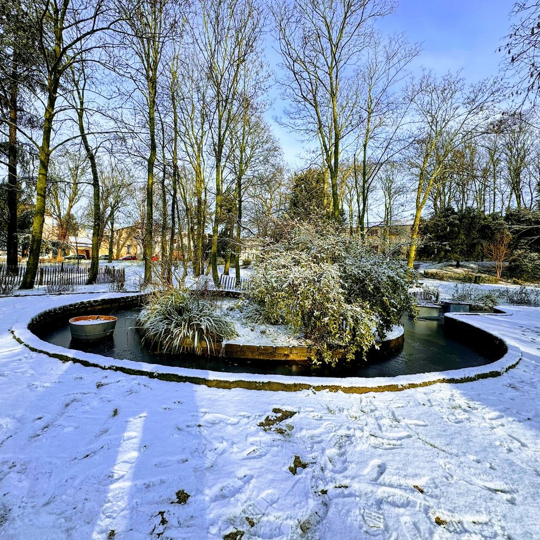 Parc de l'Hôtel de Ville 1