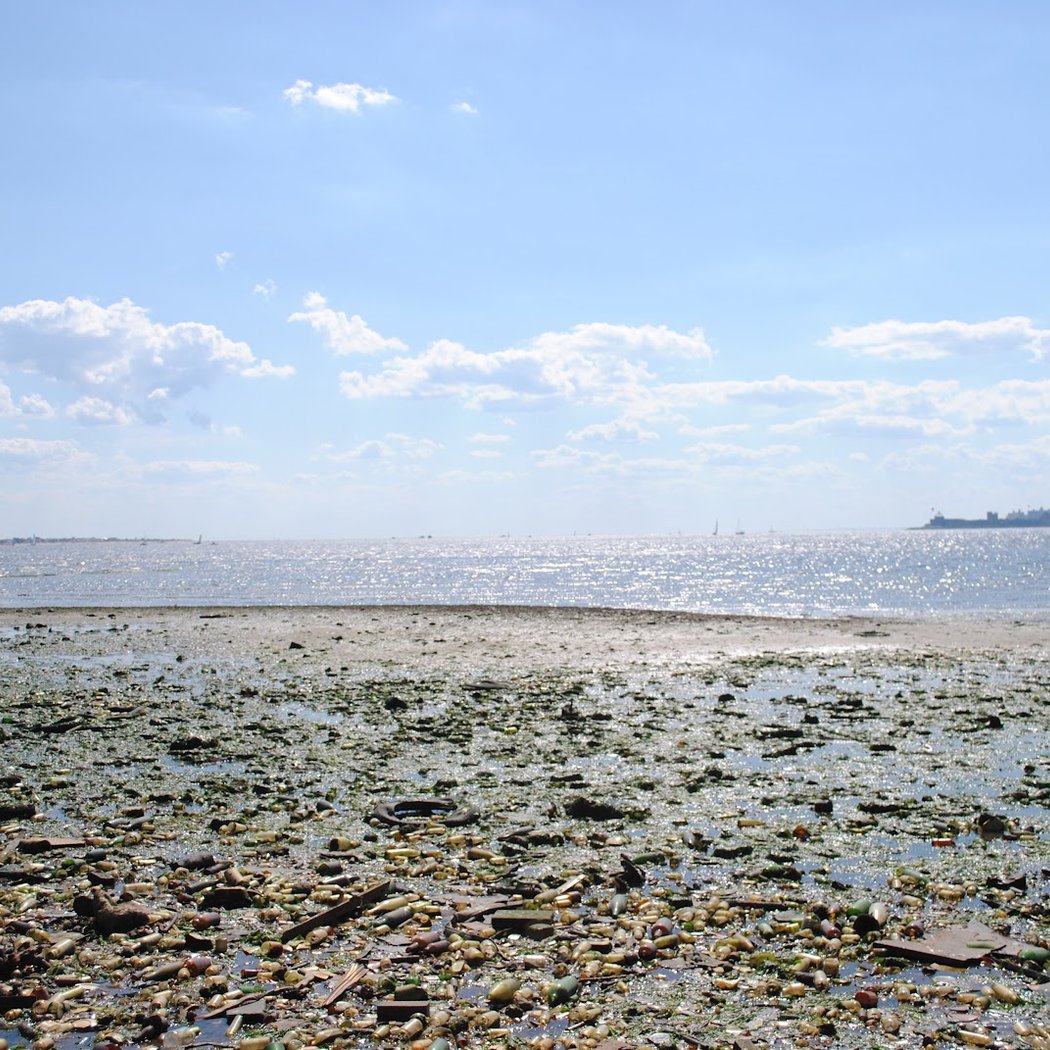 Dead Horse Bay 1