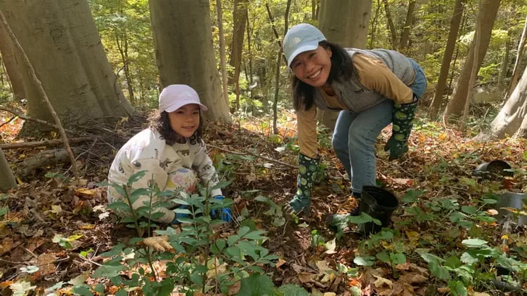 Native Species Planting with Wild Woods Restoration Project 1