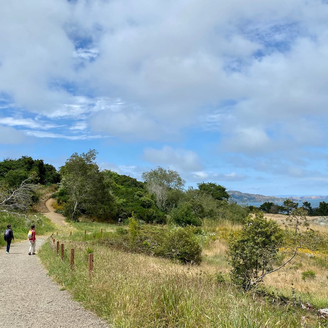 Ecology Trail 3