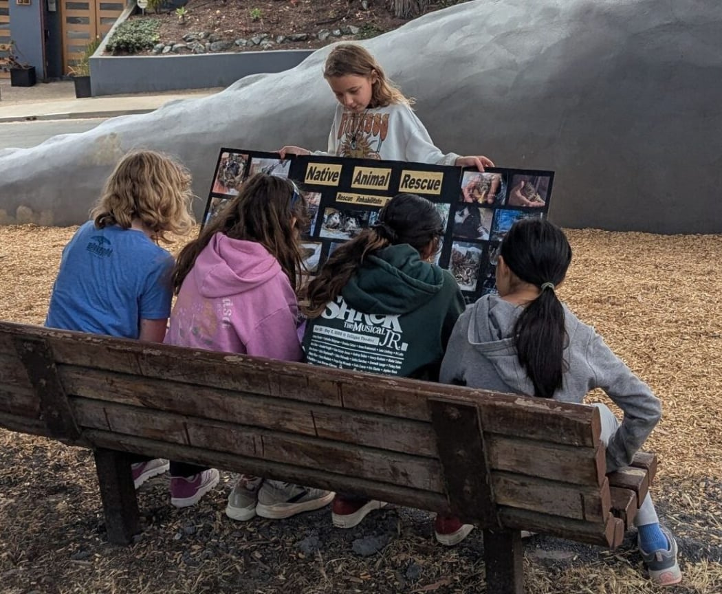 Biomimicry Summer Camp 1