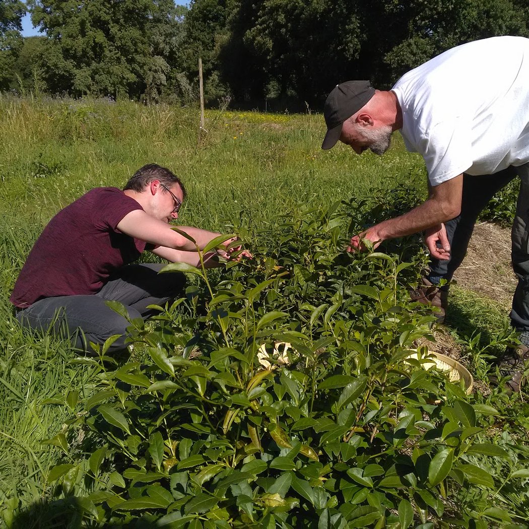 LES LANDES VIVANTES 2
