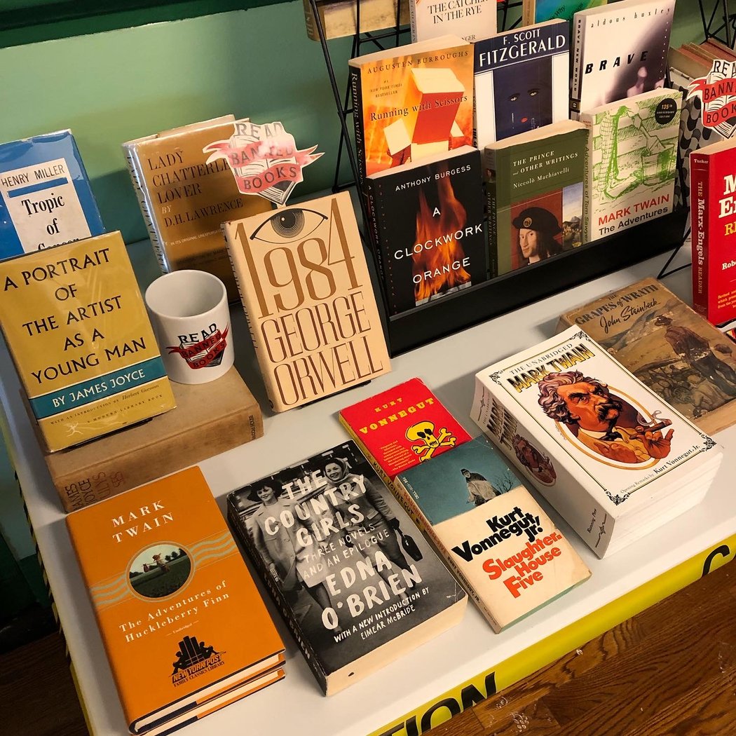 Blue Fox Books 1