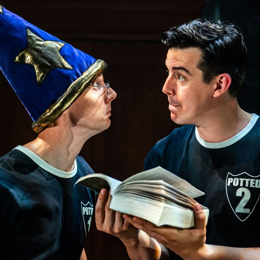 Potted Potter - The Unauthorized Harry Experience 3