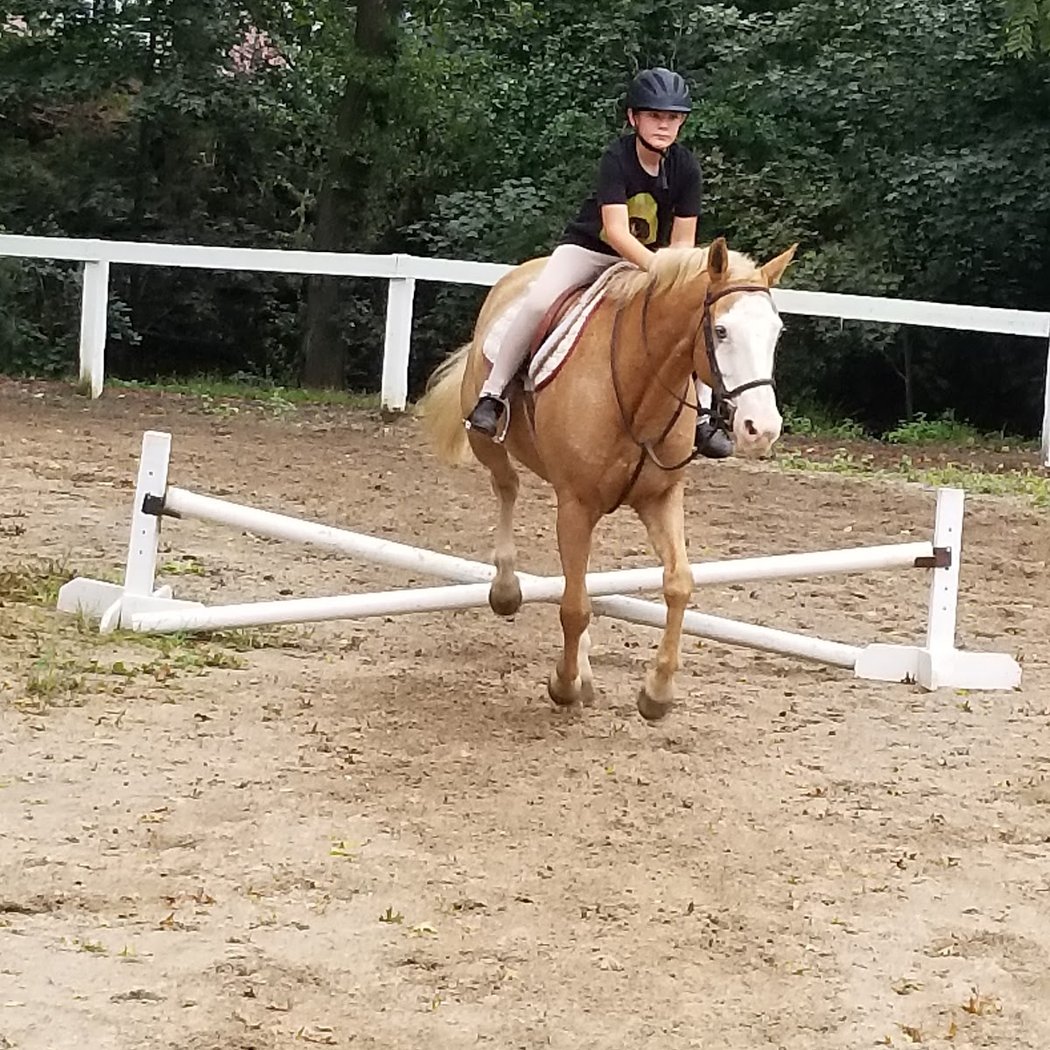 Nassau Equestrian Center 1
