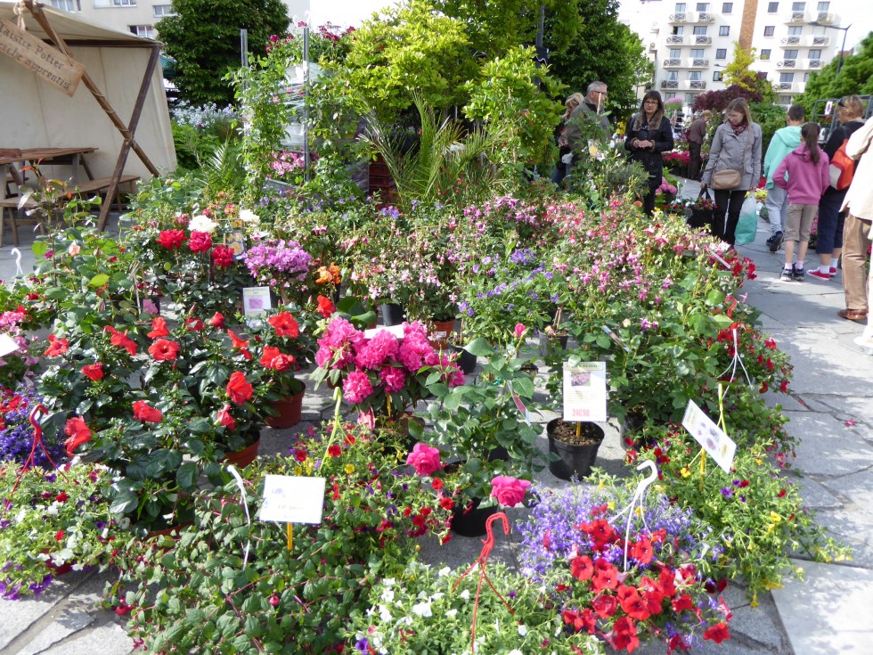 Fête des Plantes de Viroflay 1