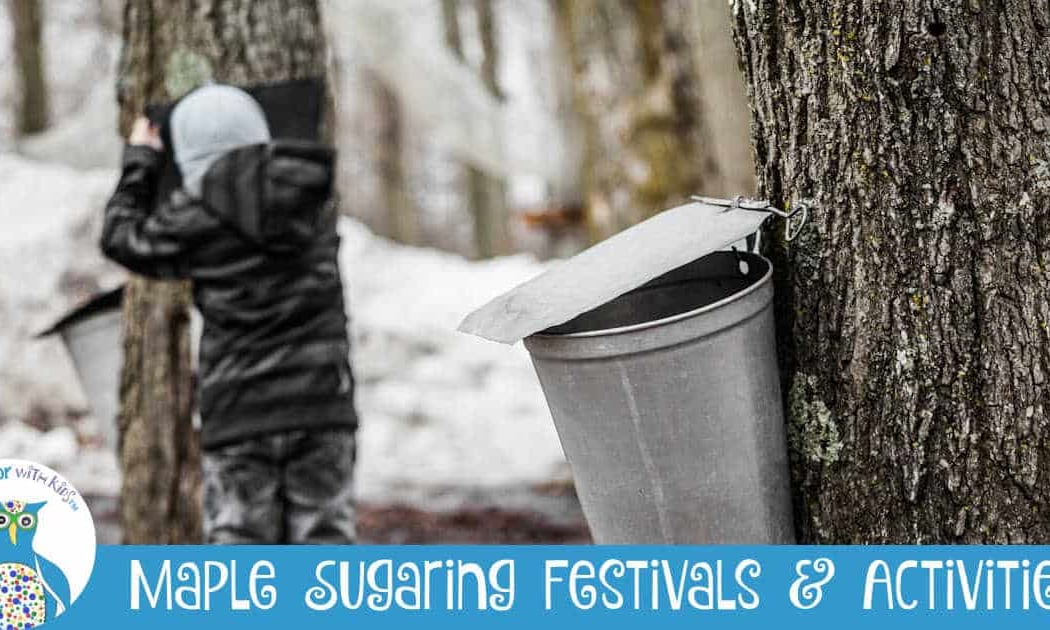 Maple Syrup Tours 1