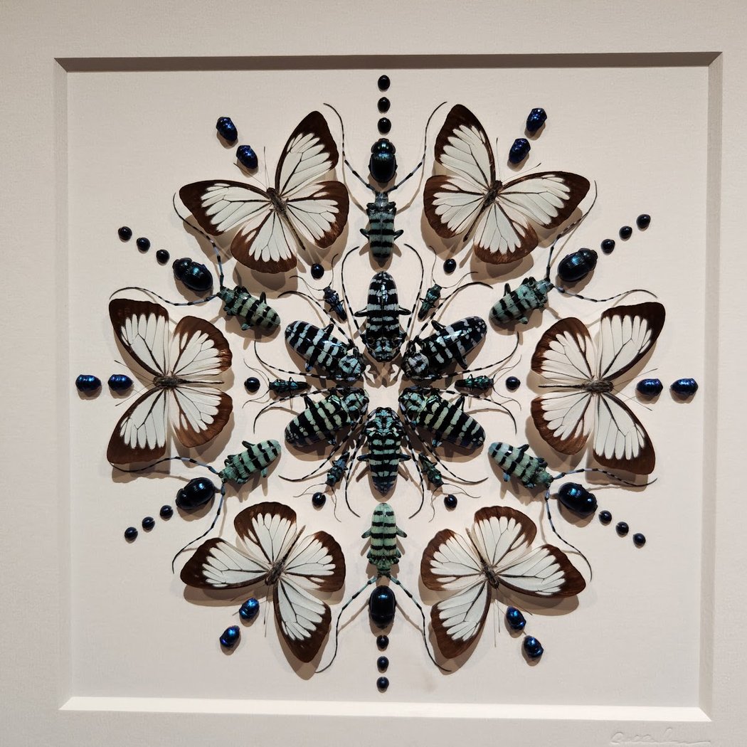 Exquisite Creatures Exhibit 2