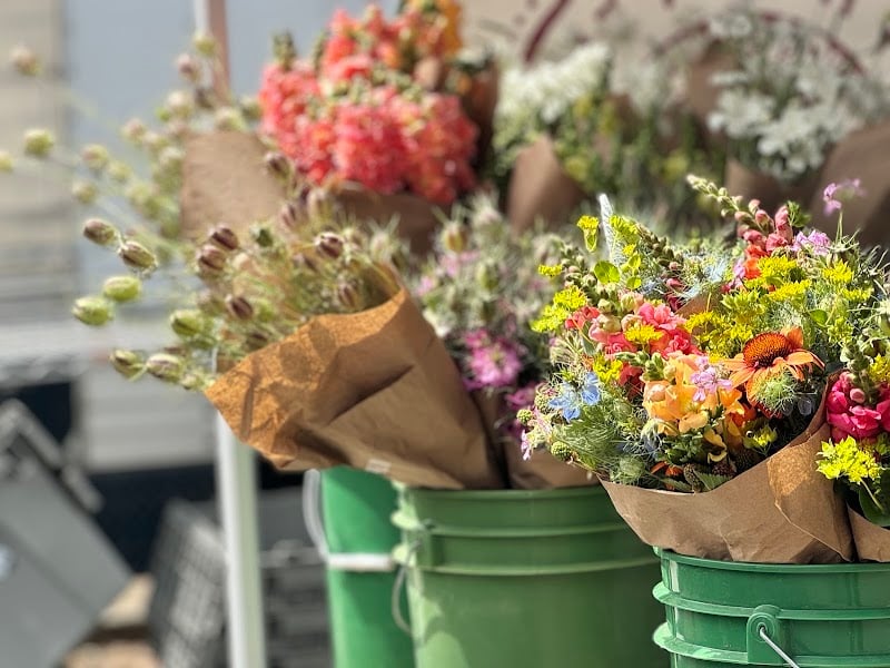 Healdsburg Certified Farmers Market - Tuesday 1