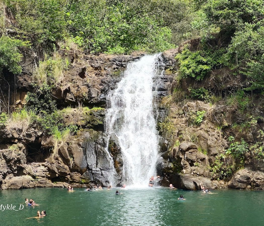 Waimea Valley 1