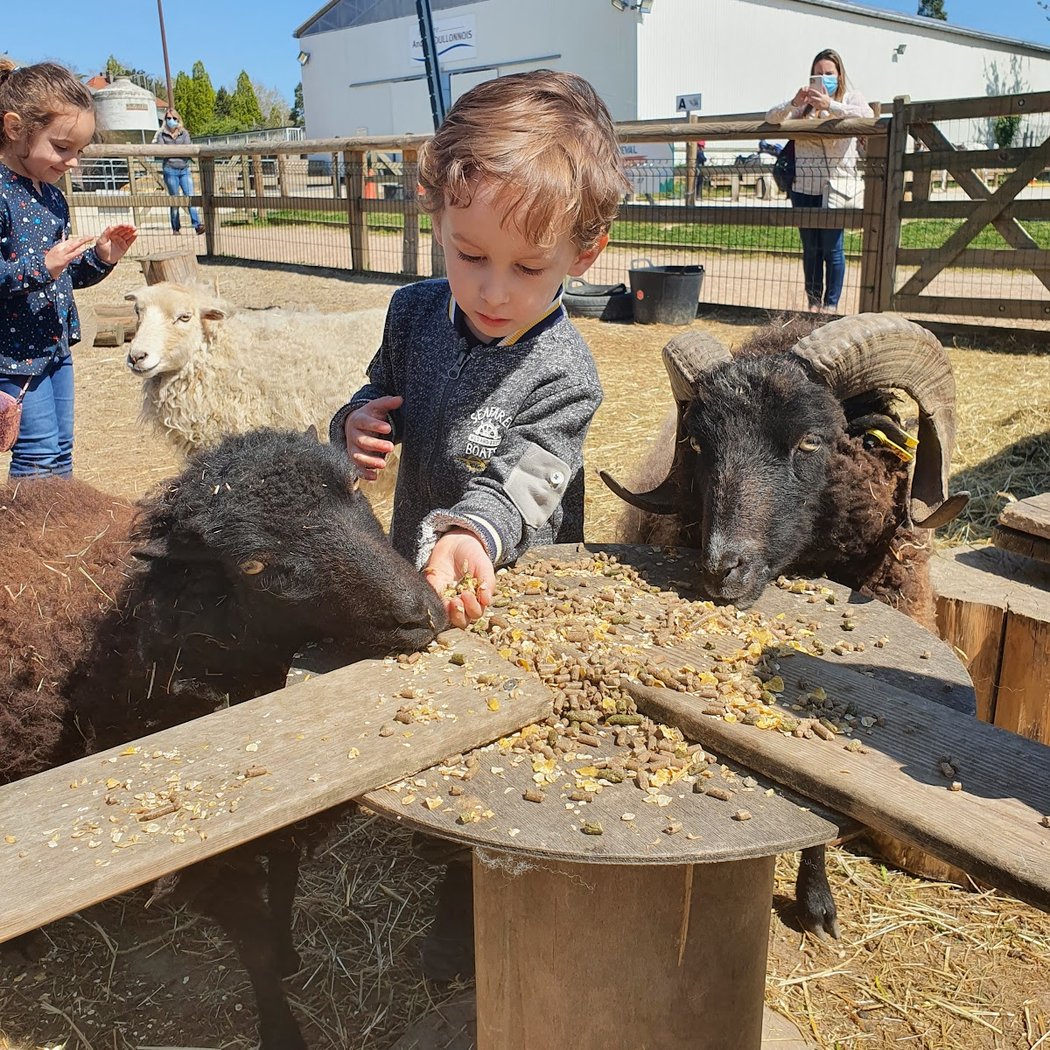 Mini Educational Farm Du Centre Équestre De Bry Sur Marne 1