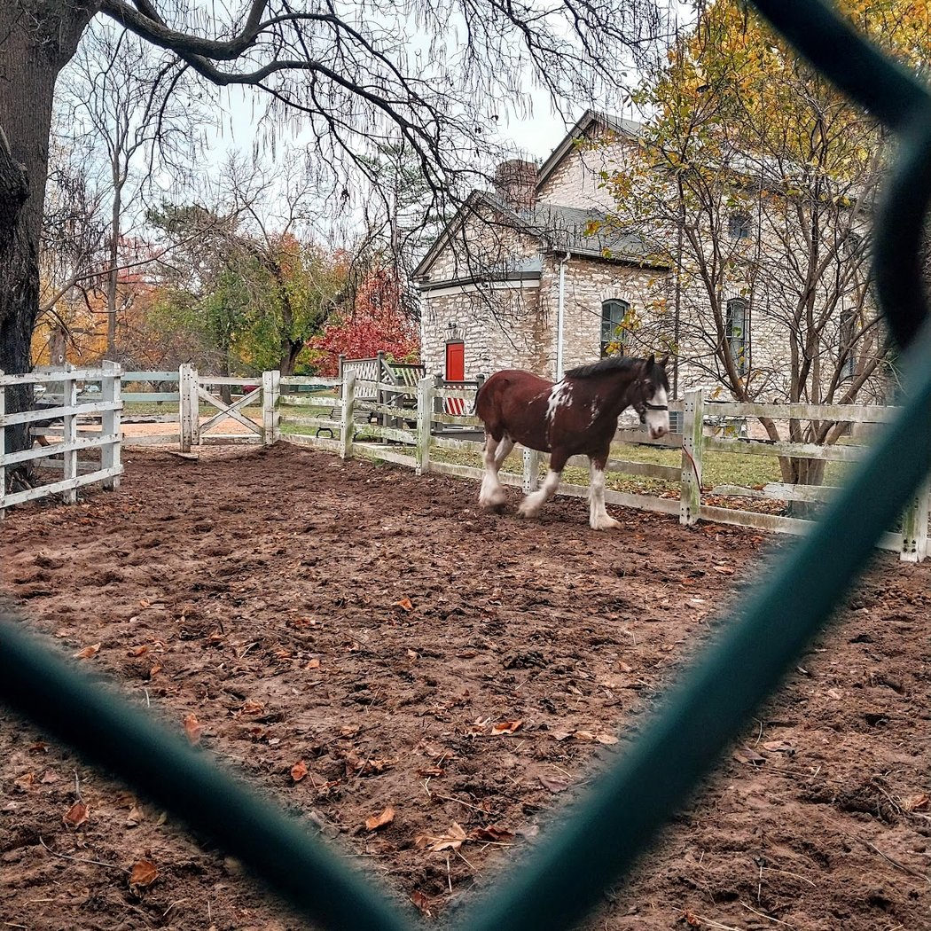 Stable Tours 1