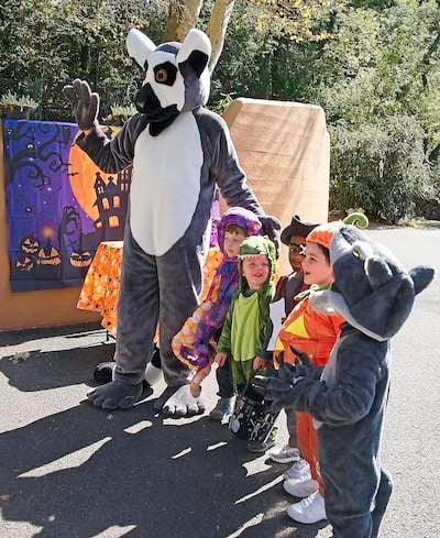 Boo at the Zoo