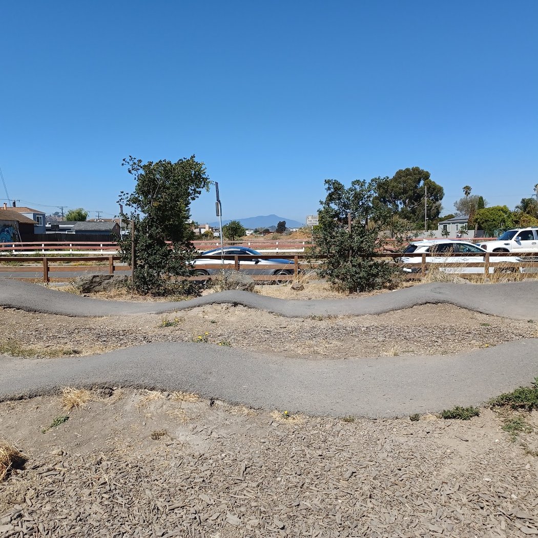Dirt World Bike Skills Park 3