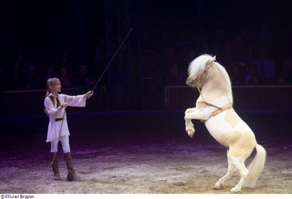 Les Folies Gruss : Jubilé de la compagnie Alexis Gruss 2