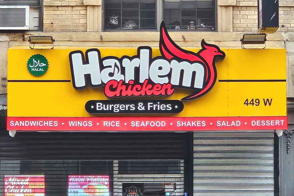 Harlem Chicken Burger & Fries 3
