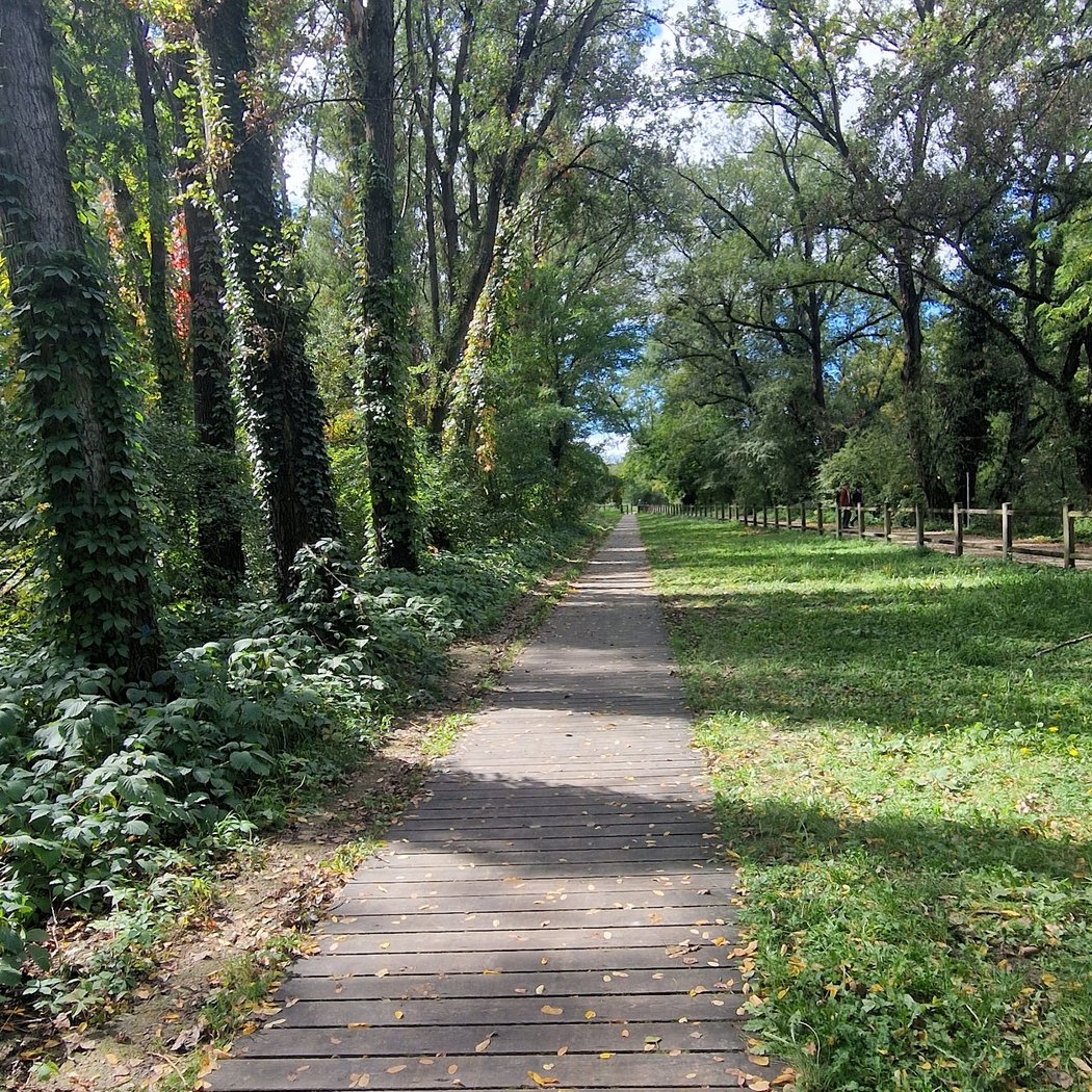 Parc naturel de la Feyssine 1