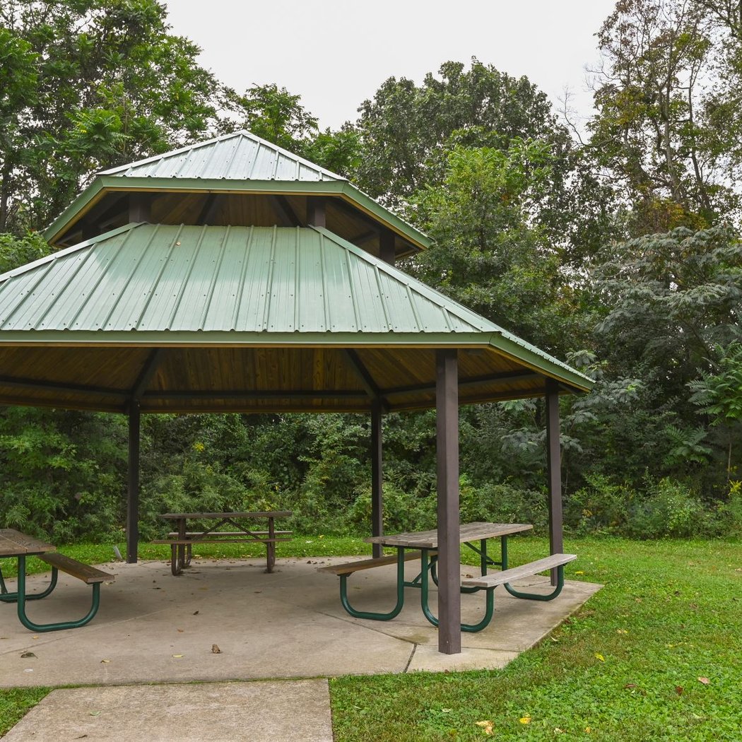 Timber Creek Dog Park 3