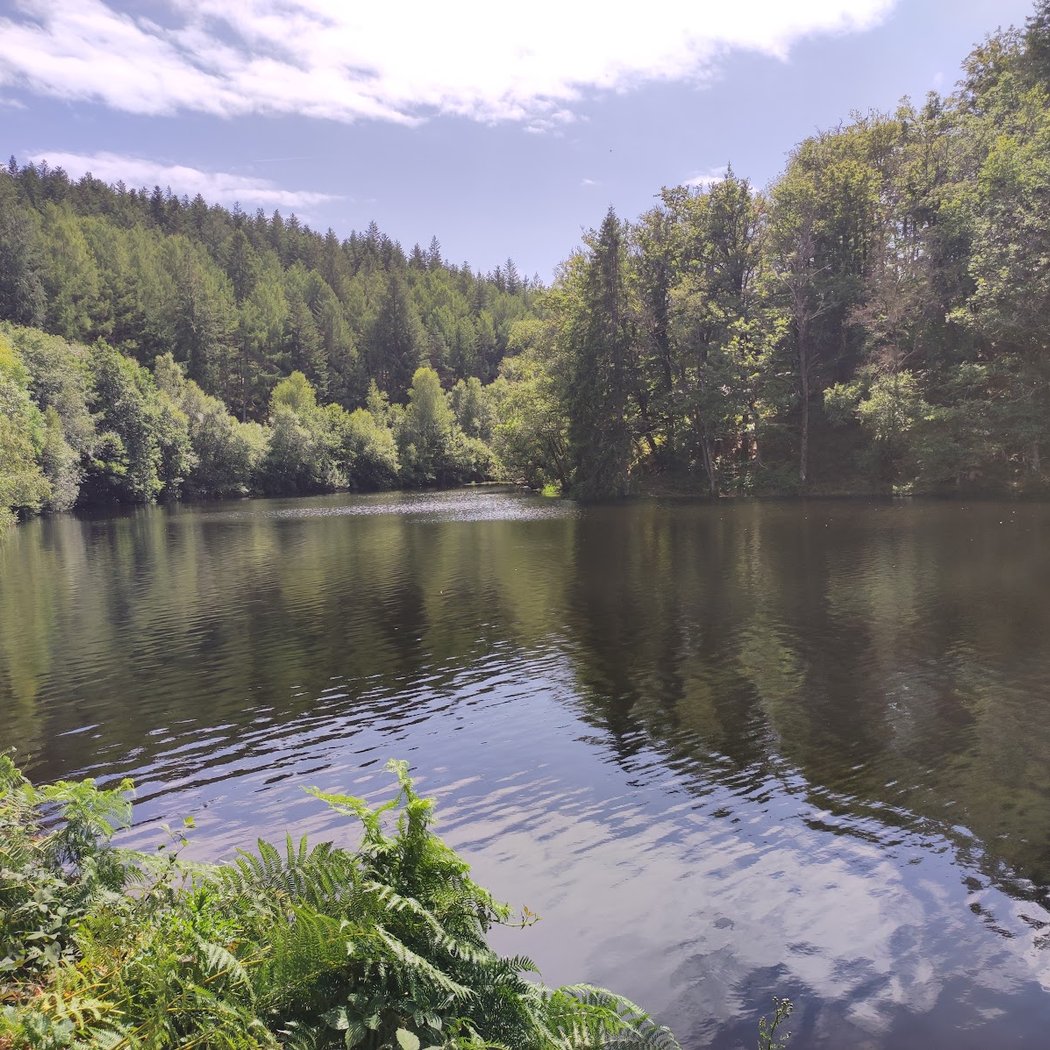 Gorges de la Canche 4