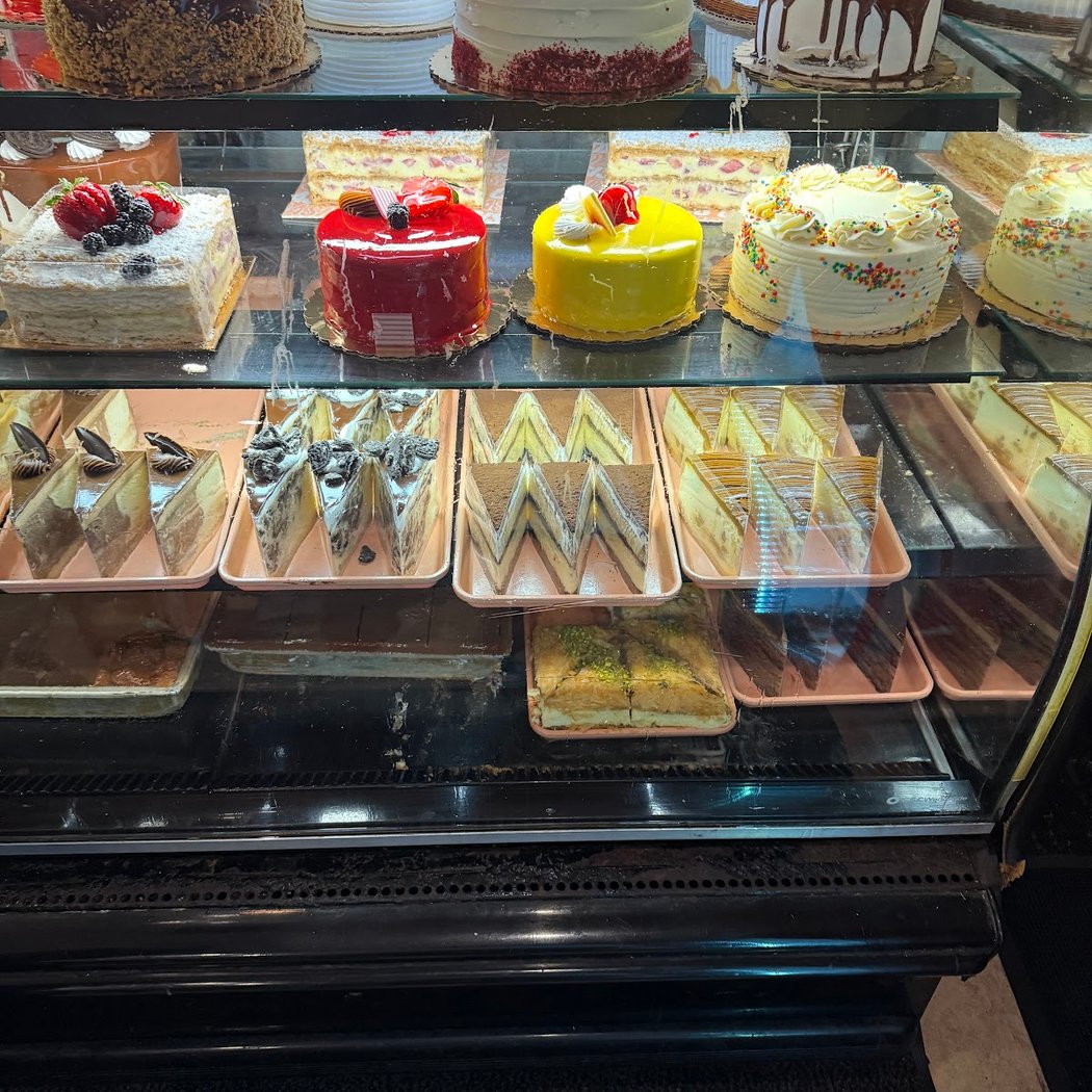 The Oasis Cafe 4