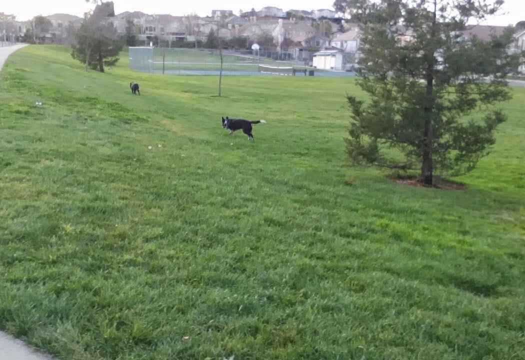 Morello School Park 2