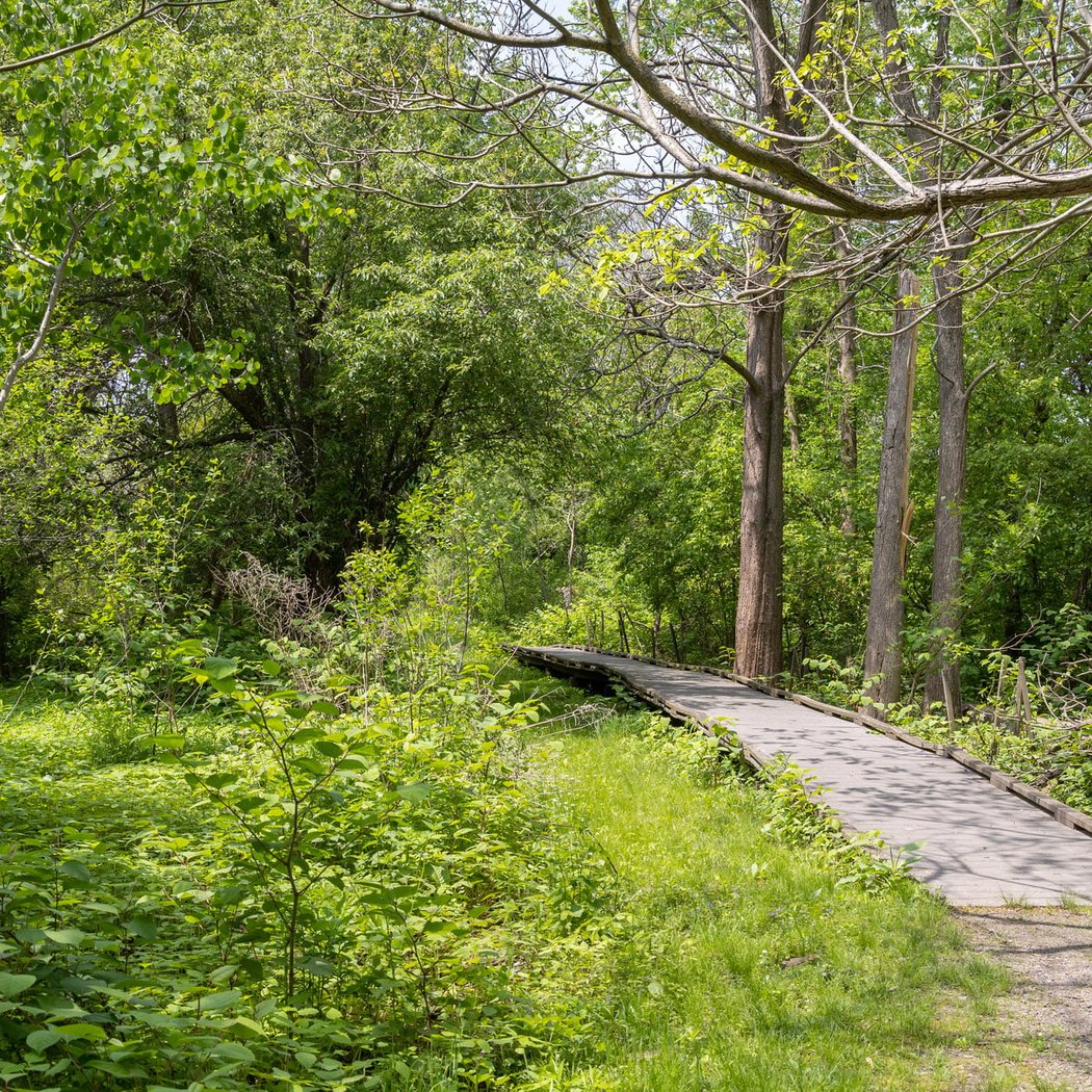 Mass Audubon's Boston Nature Center and Wildlife Sanctuary 3
