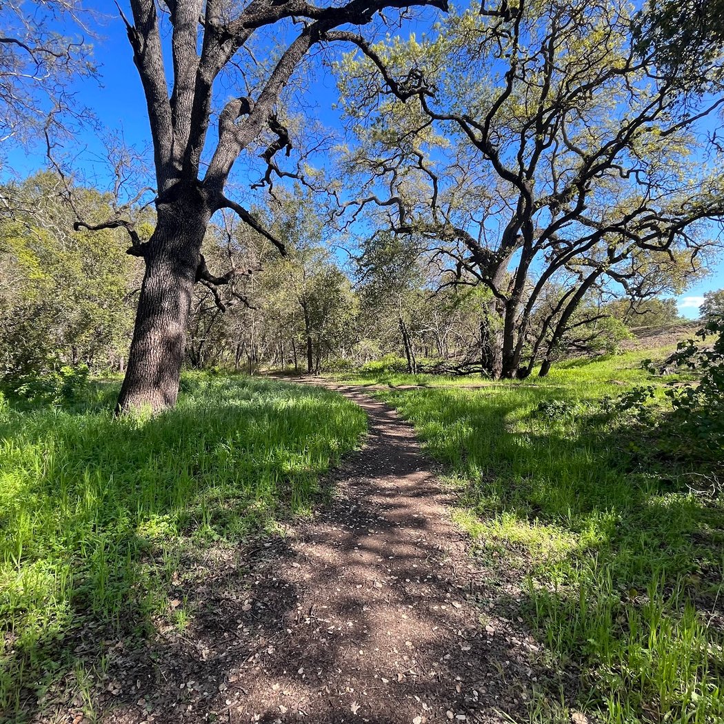 Los Alamitos Creek Trail 3