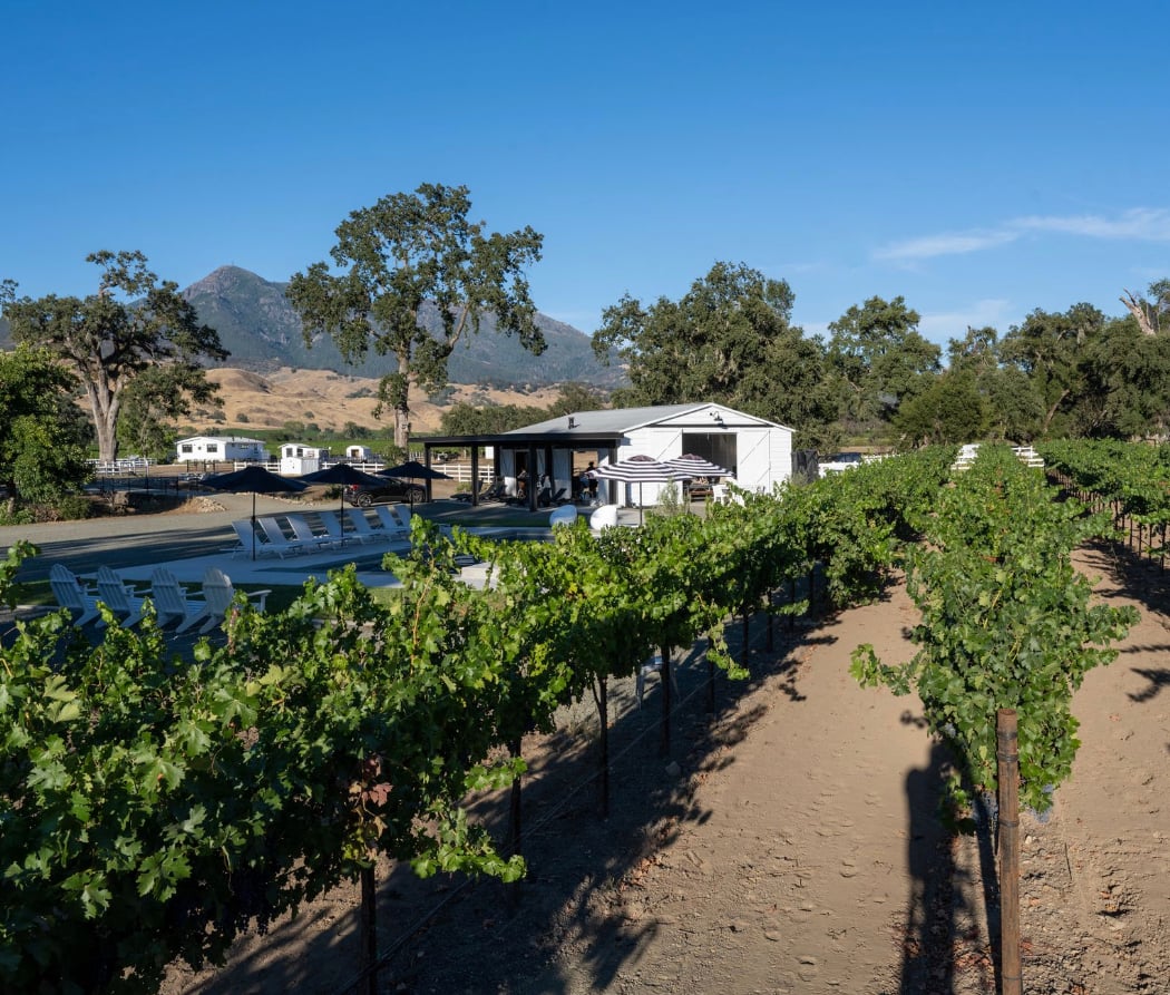 Ross Ranch & Vineyards 3