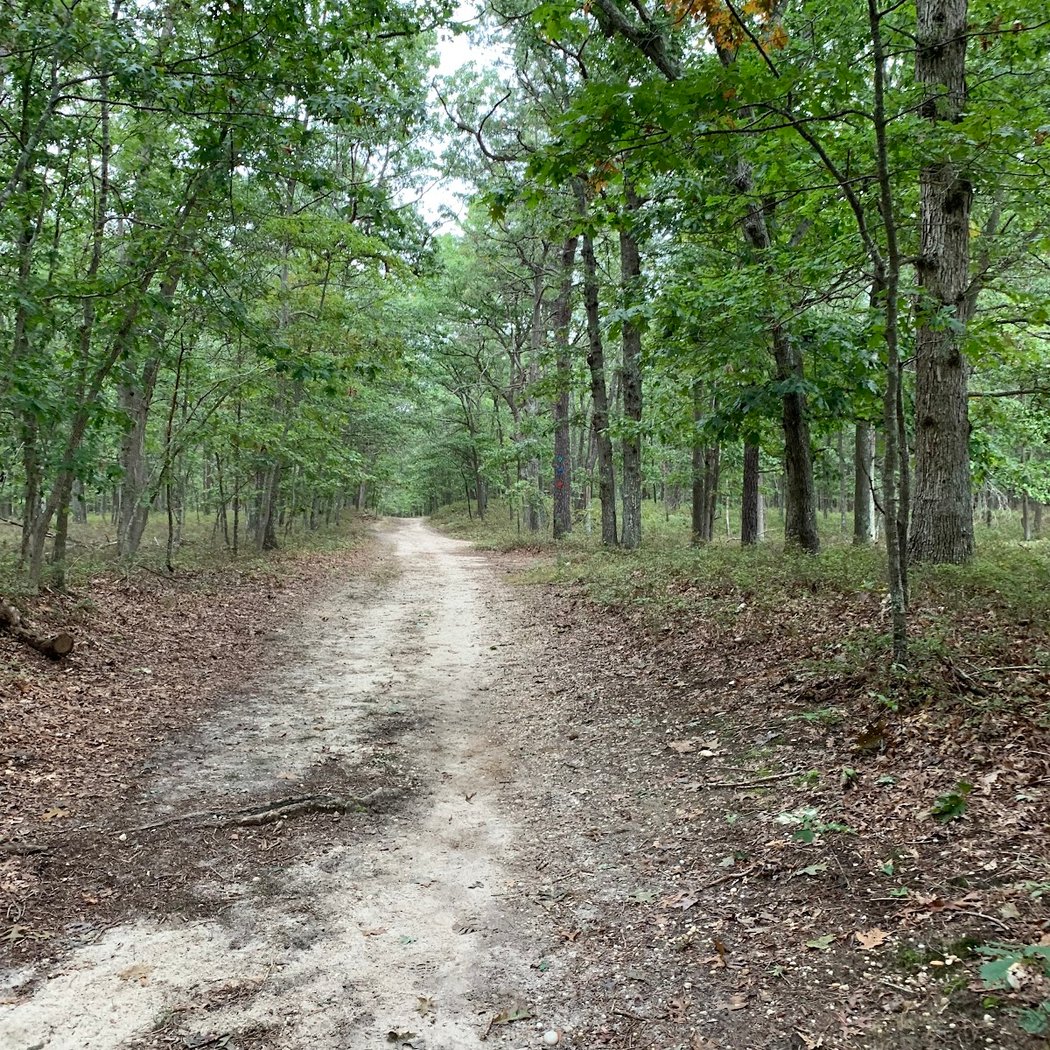Brookhaven State Park Trail 2