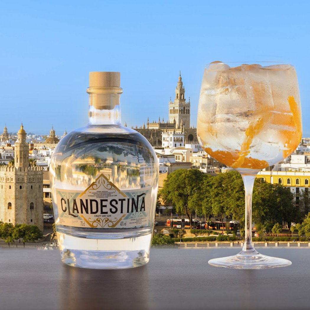 Clandestina Gin 1