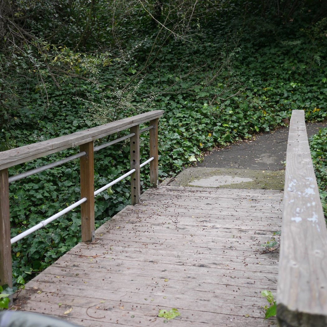 El Cerrito History Hike 3