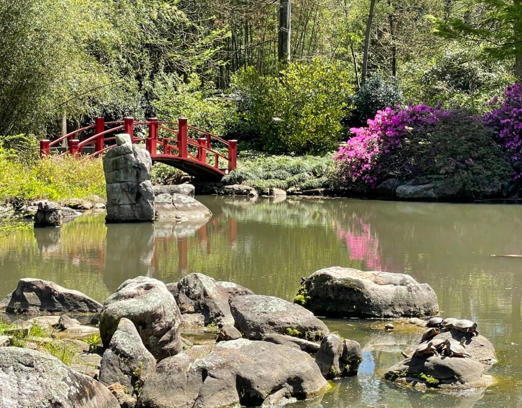 Birmingham Botanical Gardens 1
