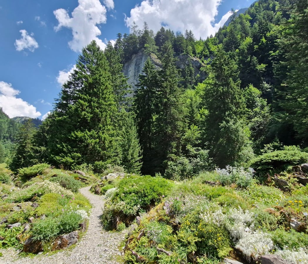 La Thomasia, Jardin de Pont de Nant 3