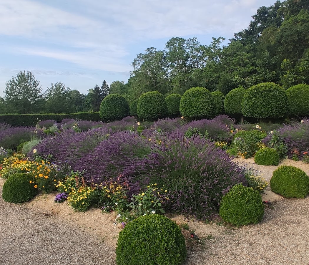 Jardin de l'Orangerie 1