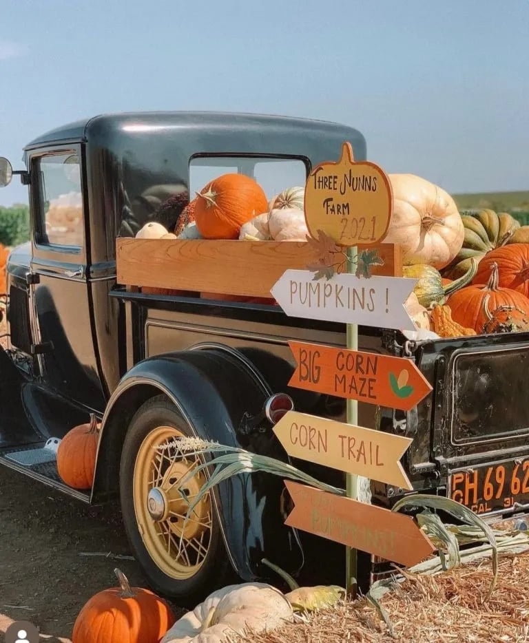 Brentwood Harvest Time & Farm Tickets 1